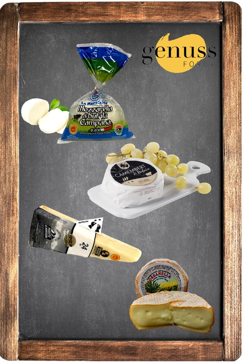 Käsepaket mit perfekt aufeinander abgestimmten Käsesorten: Gorgonzola, Parmigiano Reggiano, Mozzarella und ein Taleggio. - Übersicht von Genussforum